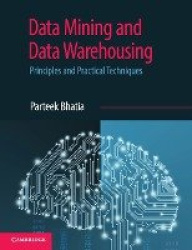 Data Mining and Data Warehousing - Principles and Practical Techniques