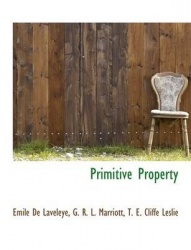 Primitive Property