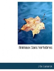 Animaux Sans Vertebres