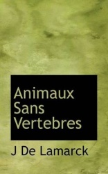 Animaux Sans Vertebres