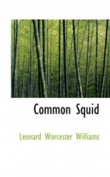 Common Squid