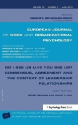 Do I See Us Like You See Us? Consensus, Agreement, and the Context of Leadership Relationships - A Special Issue of the European