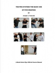Pro-Systems: the Basic Use of 5 Weapons