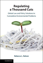 Regulating a Thousand Cuts: Global Law and Policy Solutions to Cumulative Environmental Problems