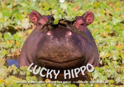 Emotional Moments: Lucky Hippo / UK-Version 2017 - Hippos in Their Natural Habitat - A Calendar of Ingo Gerlach GDT
