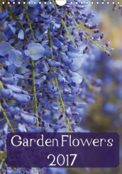 Garden Flowers 2017 2017 - Beautiful Photographs of Garden Flowers