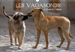 LES VAGABONDSÀ Quatre Pattes. (Calendrier mural 2020 DIN A3 horizontal)