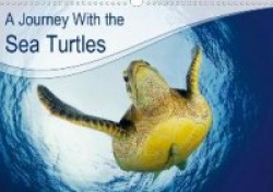 A Journey With the Sea Turtles (Wall Calendar 2020 DIN A3 Landscape)