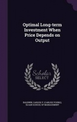 Optimal Long-term Investment When Price Depends on Output