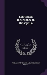 Sex-Linked Inheritance in Drosophila
