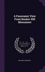 A Panoramic View from Bunker Hill Monument
