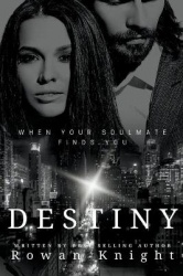 Destiny - When Your Soulmate Finds You