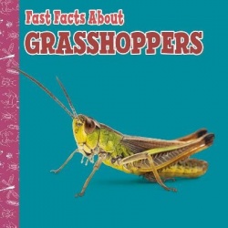 Fast Facts About Grasshoppers