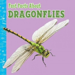 Fast Facts About Dragonflies