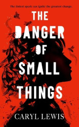 The Danger of Small Things - The YA debut from an award-winning and bestselling Welsh storyteller