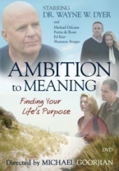 AMBITION TO MEANING