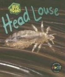 Head Louse