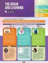 The Brain and Learning - Quick Reference Guide