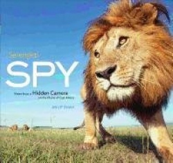 Serengeti Spy