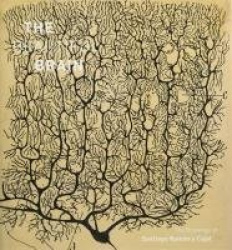 The Beautiful Brain