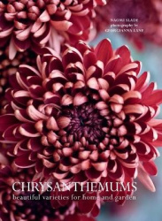 Chrysanthemums - Beautiful Varieties for Home and Garden