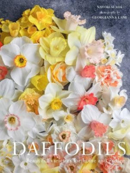 Daffodils - Beautiful Varieties for Home and Garden