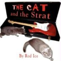 The Cat and the Strat