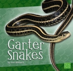 Garter Snakes