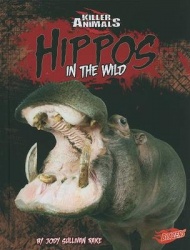 Hippos: In the Wild