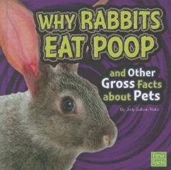Why Rabbits Eat Poop and Other Gross Facts about Pets