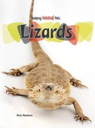 Lizards