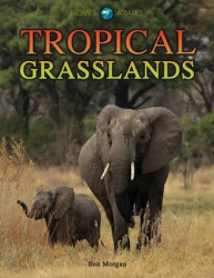 Tropical Grasslands