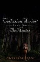Collusion Series - Book One: The Meeting