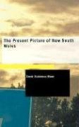 The Present Picture of New South Wales