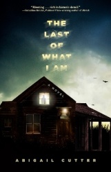 The Last of What I Am - A Novel