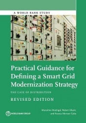 Practical Guidance for Defining a Smart Grid Modernization Strategy - The Case of Distribution