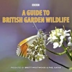 A Guide To British Garden Wildlife