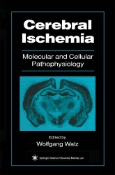 Cerebral Ischemia : Molecular and Cellular Pathophysiology