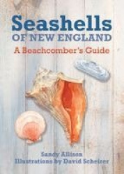 Seashells of New England - A Beachcomber's Guide
