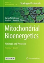 Mitochondrial Bioenergetics : Methods and Protocols