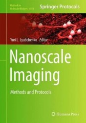 Nanoscale Imaging : Methods and Protocols