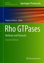 Rho GTPases : Methods and Protocols