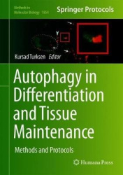 Autophagy in Differentiation and Tissue Maintenance - Methods and Protocols