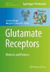 Glutamate Receptors : Methods and Protocols