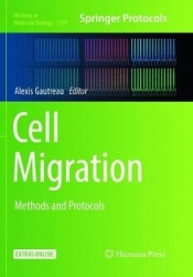 Cell Migration : Methods and Protocols