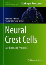 Neural Crest Cells - Methods and Protocols