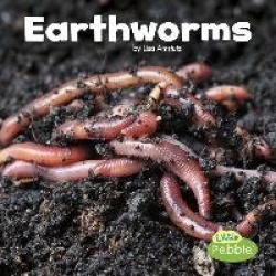 Little Critters Earthworms