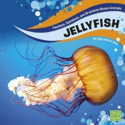 Jellyfish - Faceless, Spineless, and Brainless Ocean Animals