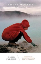 Anthropocene Poetics - Deep Time, Sacrifice Zones, and Extinction