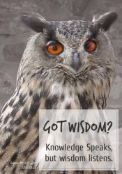 Got Wisdom? - A Journal